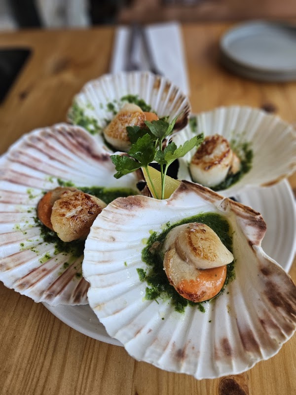 The Scallop Shell 4