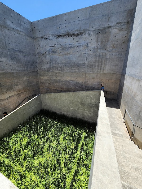 Chichu Art Museum 1