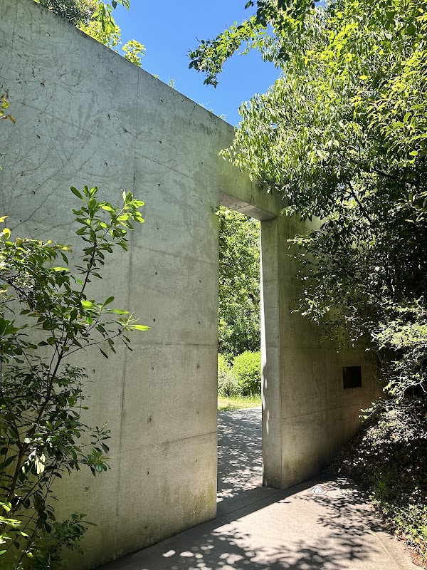 Chichu Art Museum 3