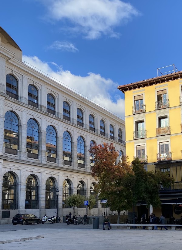 Library Museo Nacional Centro de Arte Reina Sofía 2
