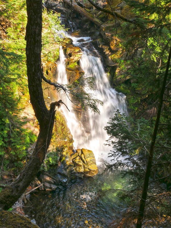 Carter Falls 1