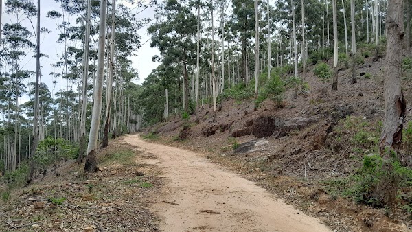 Pekoe Trail Stage 15: Makulella - Ella