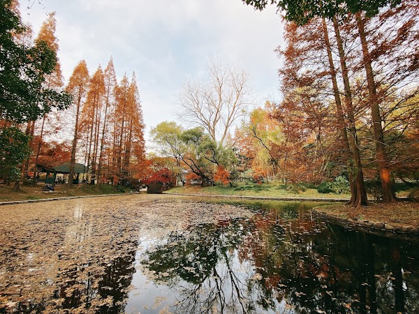 Gongqing Forest Park 1