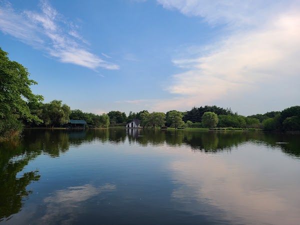 Gongqing Forest Park 4