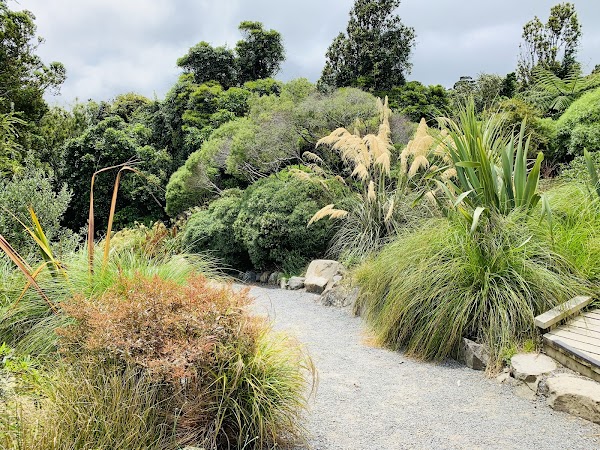 Otari-Wilton's Bush 1