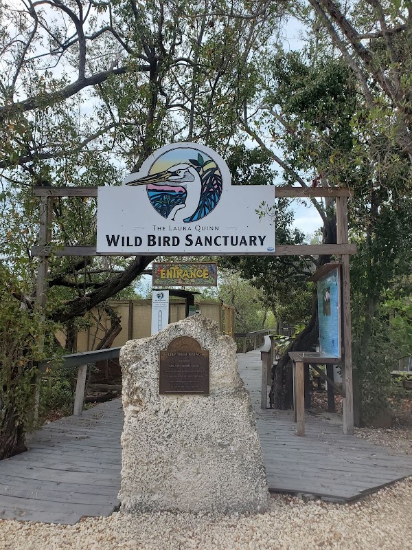 Wild Bird Sanctuary - Florida Keys Wild Bird Center