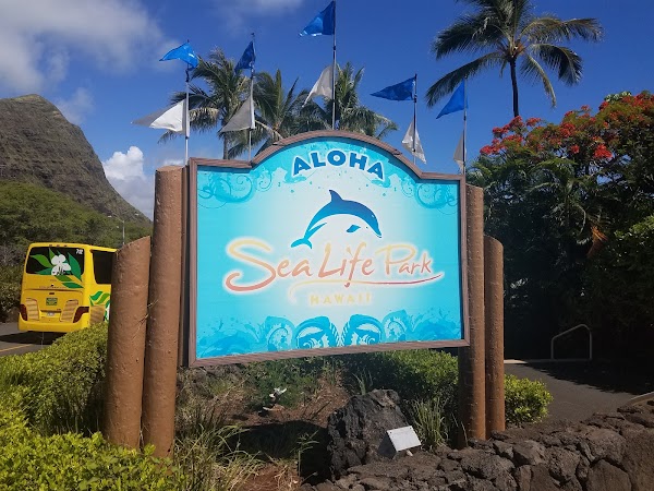 Hawaii 59