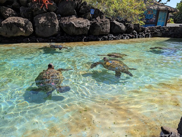 Sea Life Park Hawaii 5
