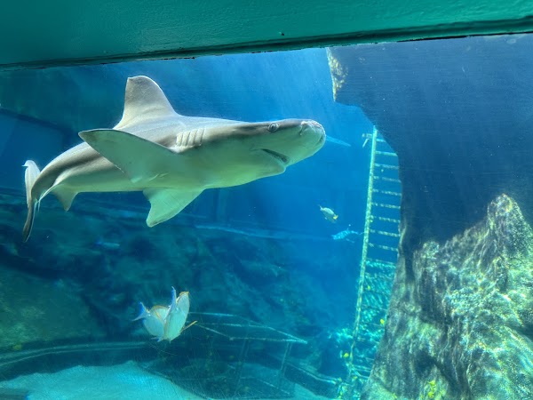 Sea Life Park Hawaii 3