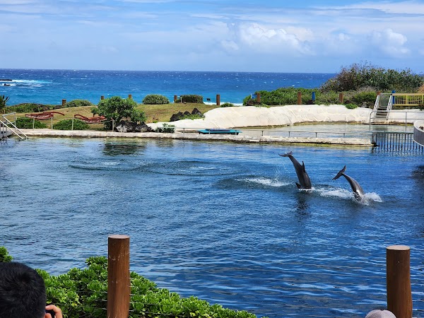 Sea Life Park Hawaii 2