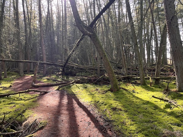 Zandspeelplaats boswachterij Grolloo 5