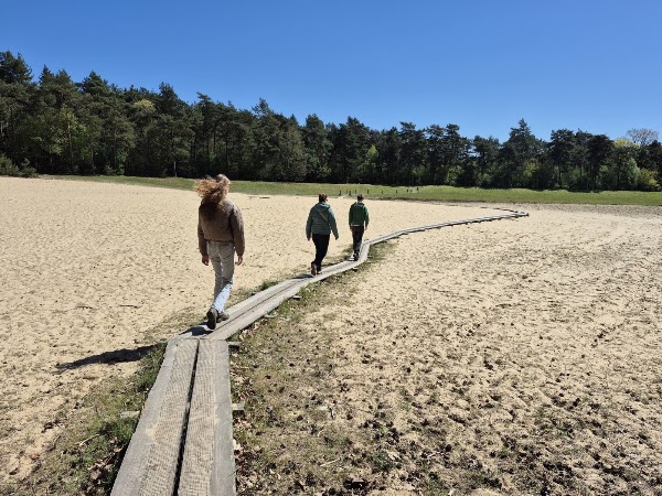 Zandspeelplaats boswachterij Grolloo 4