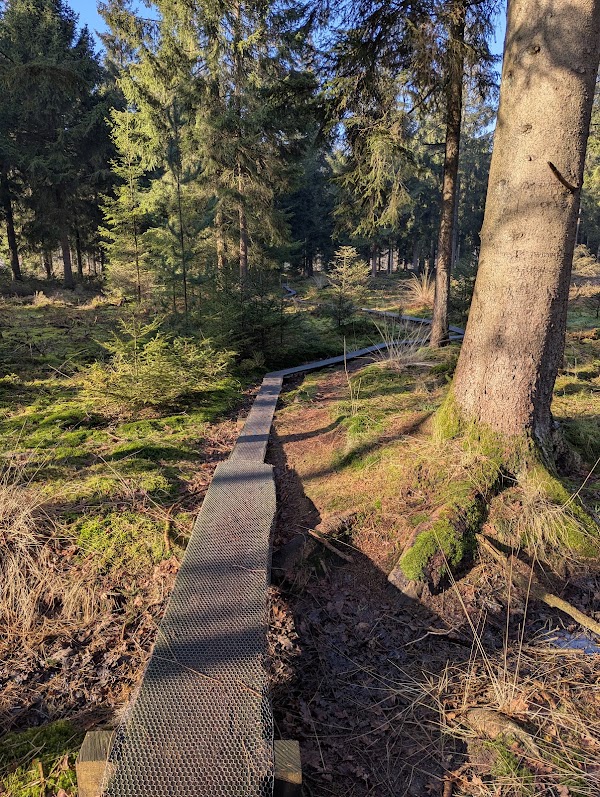 Zandspeelplaats boswachterij Grolloo 3
