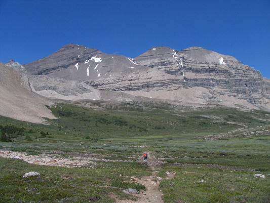 Mount Willingdon 1