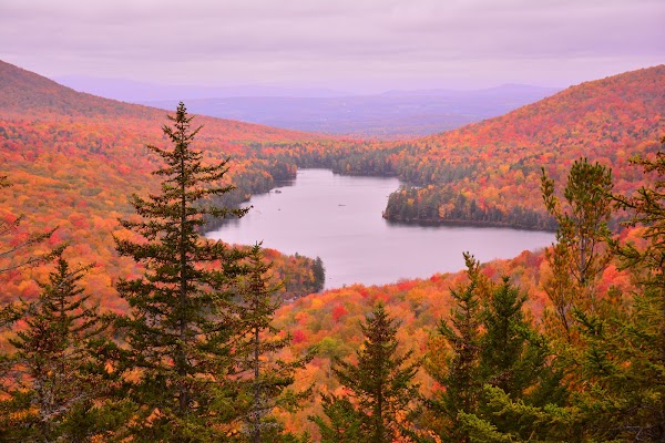 Groton State Forest 1
