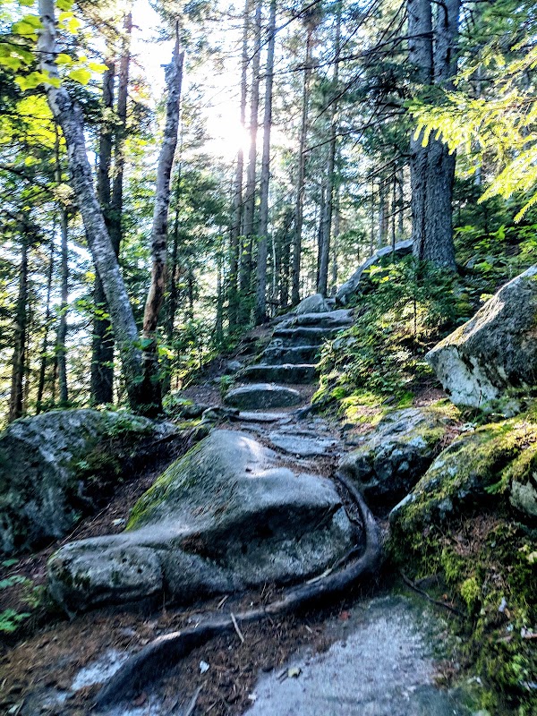 Groton State Forest 3