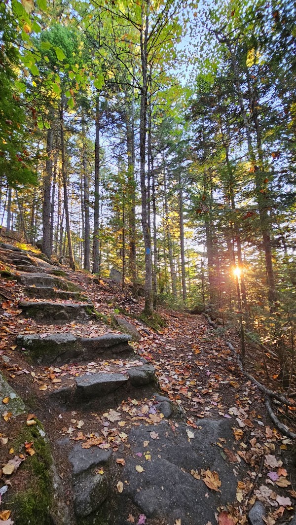Groton State Forest 2