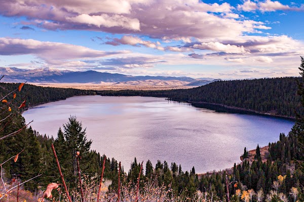 Phelps Lake 5