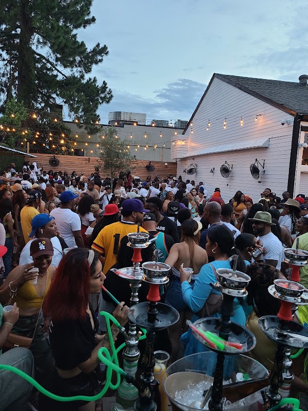 Treehouse 3