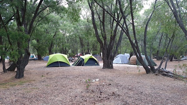 Martins Tank Campground 5