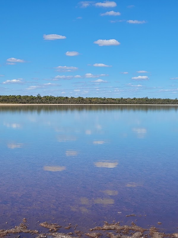 Martins Tank Campground 4