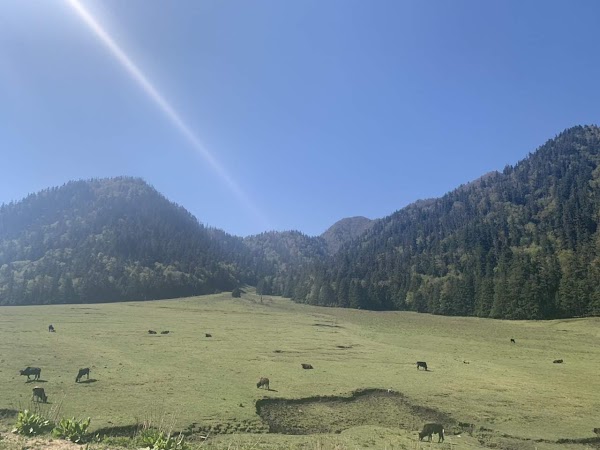 Rara Lake 2