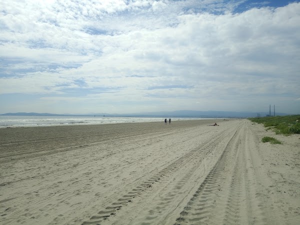Bull Island