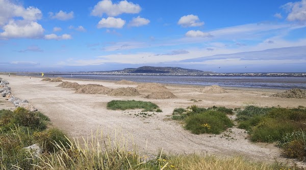 Bull Island 5
