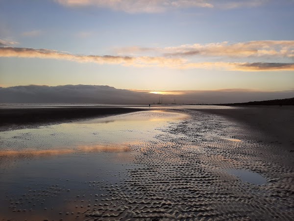 Bull Island 4