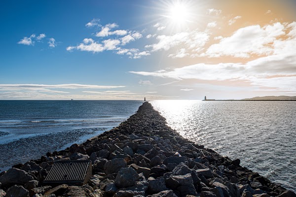 Bull Island 3