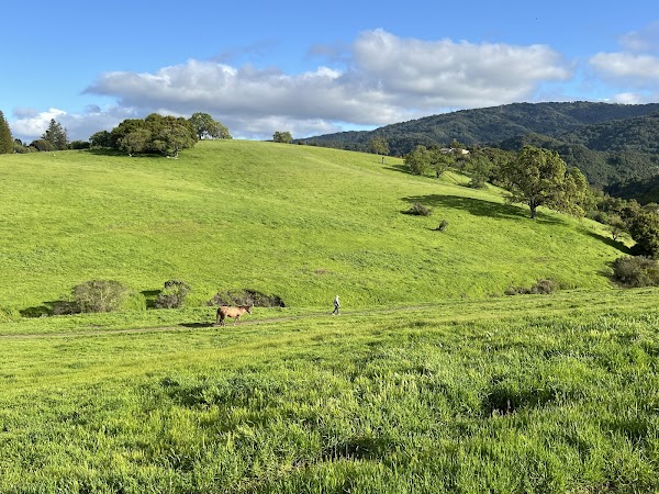 Byrne Preserve 1
