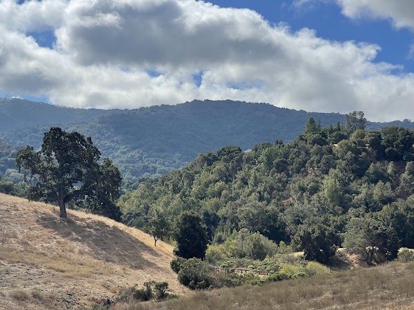 Byrne Preserve 5