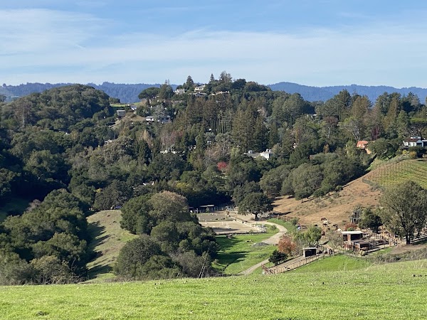 Byrne Preserve 3