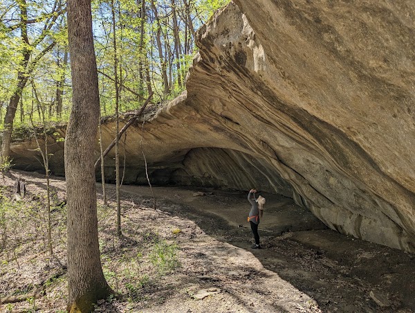 Kress Farm Garden Preserve 1