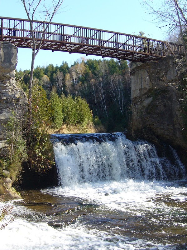 Forks of the Credit Provincial Park (Reservation Required)