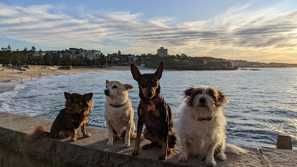 Coogee 1