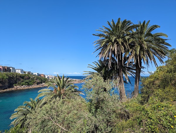 Coogee 3