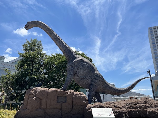 Dinosaur Square