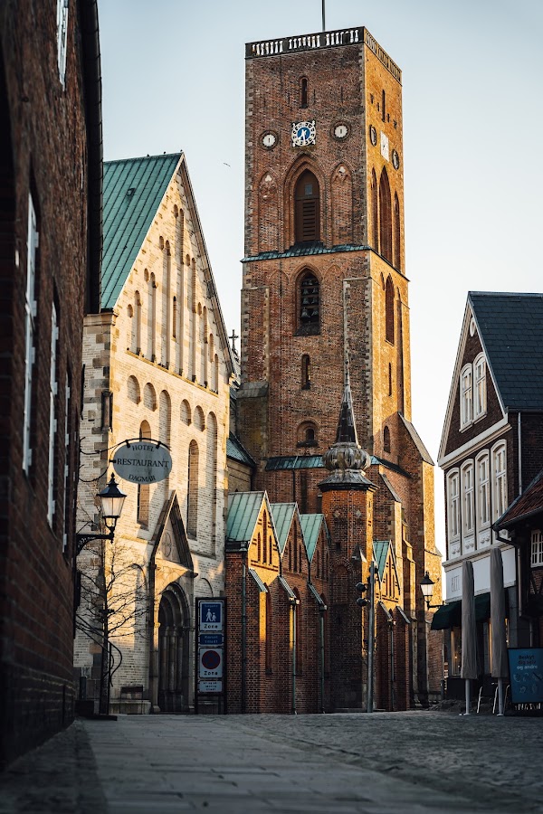 Ribe