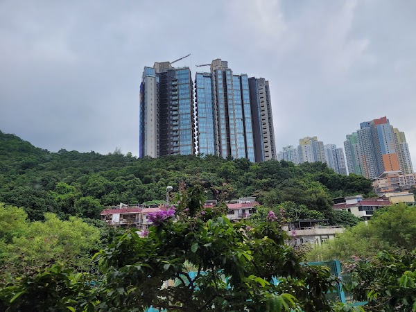 Sha Tin District 3
