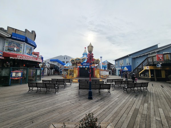 Sea Lion Viewing Area 3
