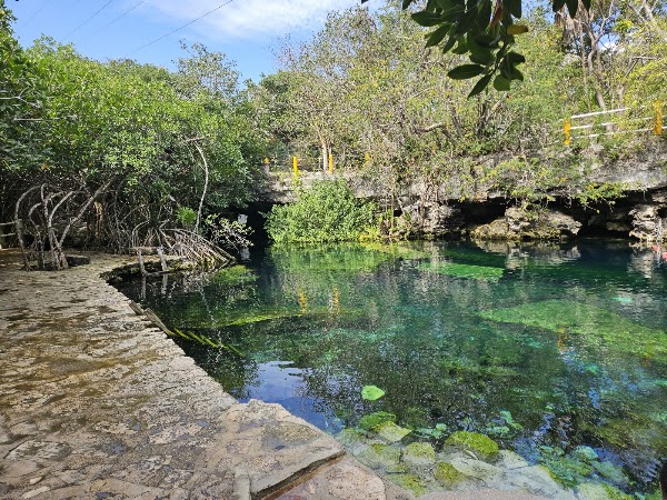 Cenote cristalino 1