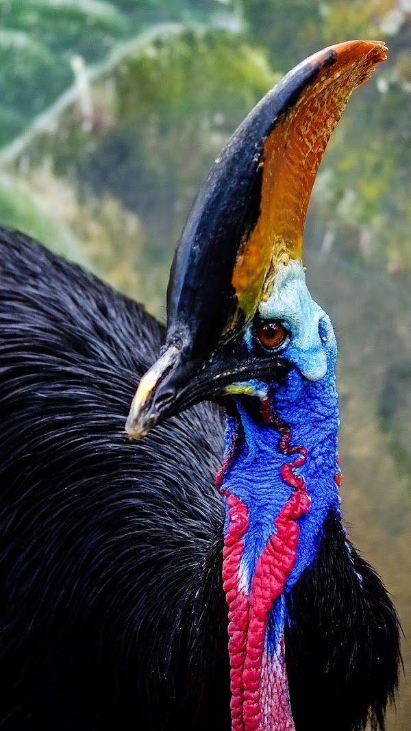 Manila Zoo 4