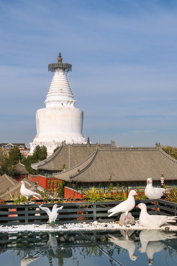 Pagoda Light International Youth Hostel