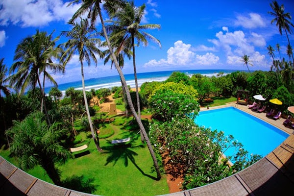 Galle 5
