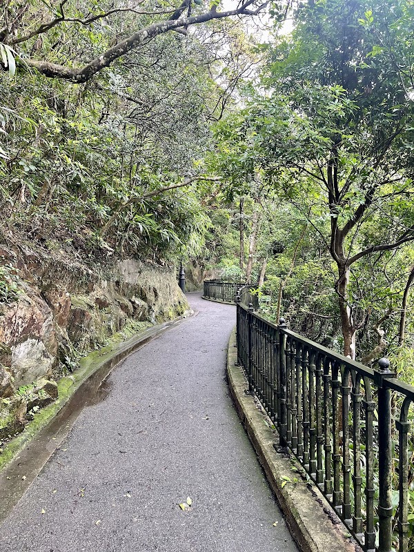 Harlech Road and Lugard Road Circular Walk, The Peak 2