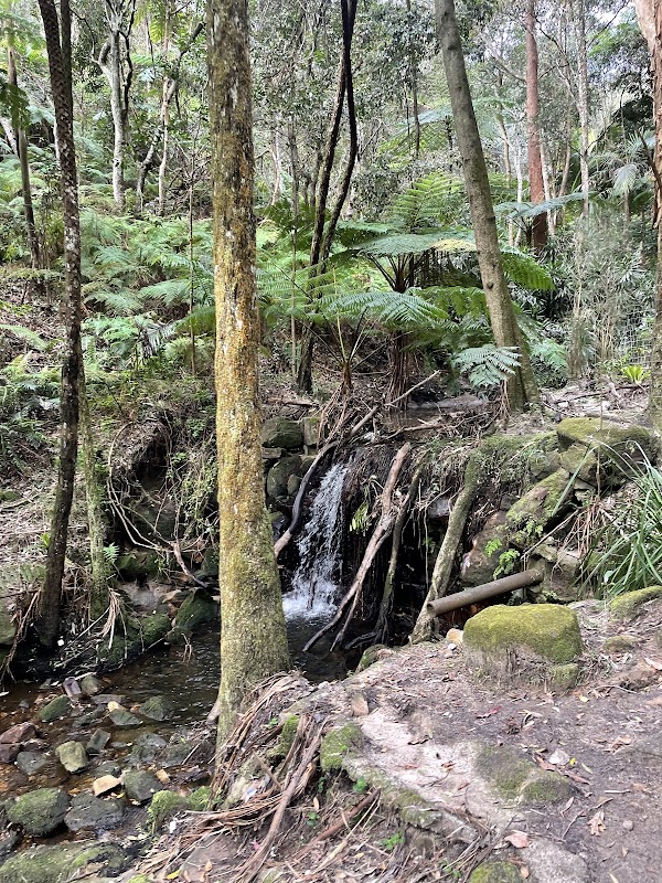 Cooper Park Cliff Walk
