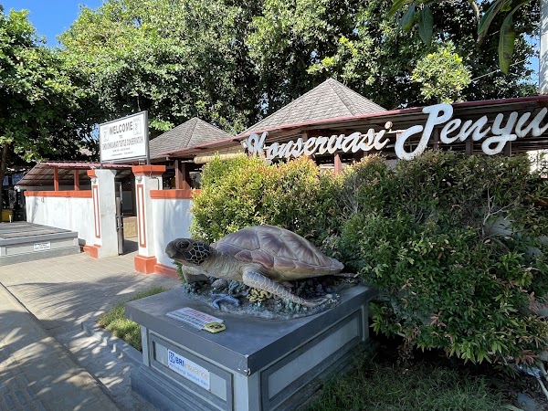 Sindu Dwarawati Turtle Conservation Center 5