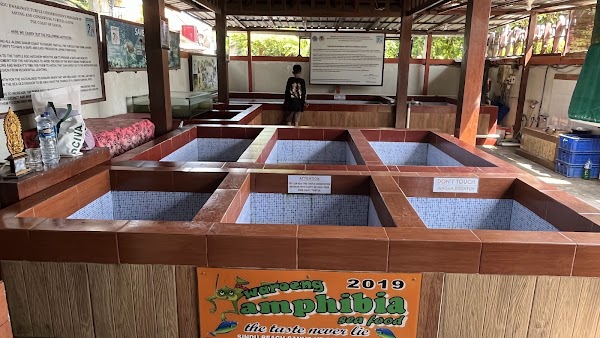 Sindu Dwarawati Turtle Conservation Center 4