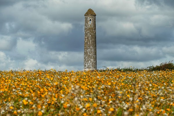 Donabate Portrane Cliff Walk 2